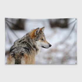 Флаг-баннер с принтом Хозяин леса в Белгороде, 100% полиэстер | размер 67 х 109 см, плотность ткани — 95 г/м2; по краям флага есть четыре люверса для крепления | волк | серый