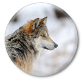 Значок с принтом Хозяин леса в Белгороде,  металл | круглая форма, металлическая застежка в виде булавки | волк | серый