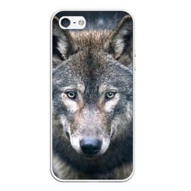 Чехол для iPhone 5/5S матовый с принтом Серый волк в Белгороде, Силикон | Область печати: задняя сторона чехла, без боковых панелей | аука | бирюк | волк | волчара | волчица | волчок | глаза | животное | животные | зверь | зеленые | койот | лес | млекопитающее | природа | санитар леса | серый | уши | фауна | хищник | черный | шакал