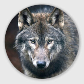 Коврик круглый с принтом Серый волк в Белгороде, резина и полиэстер | круглая форма, изображение наносится на всю лицевую часть | аука | бирюк | волк | волчара | волчица | волчок | глаза | животное | животные | зверь | зеленые | койот | лес | млекопитающее | природа | санитар леса | серый | уши | фауна | хищник | черный | шакал