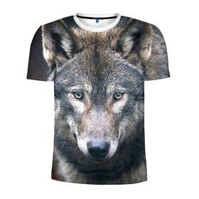Мужская футболка 3D спортивная с принтом Серый волк в Белгороде, 100% полиэстер с улучшенными характеристиками | приталенный силуэт, круглая горловина, широкие плечи, сужается к линии бедра | аука | бирюк | волк | волчара | волчица | волчок | глаза | животное | животные | зверь | зеленые | койот | лес | млекопитающее | природа | санитар леса | серый | уши | фауна | хищник | черный | шакал