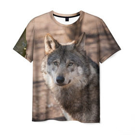 Мужская футболка 3D с принтом Серый волк в Белгороде, 100% полиэфир | прямой крой, круглый вырез горловины, длина до линии бедер | аука | бирюк | волк | волчара | волчица | волчок | глаза | животное | животные | зверь | зеленые | койот | лес | млекопитающее | природа | санитар леса | серый | уши | фауна | хищник | черный | шакал