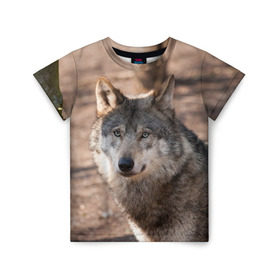 Детская футболка 3D с принтом Серый волк в Белгороде, 100% гипоаллергенный полиэфир | прямой крой, круглый вырез горловины, длина до линии бедер, чуть спущенное плечо, ткань немного тянется | аука | бирюк | волк | волчара | волчица | волчок | глаза | животное | животные | зверь | зеленые | койот | лес | млекопитающее | природа | санитар леса | серый | уши | фауна | хищник | черный | шакал