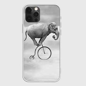 Чехол для iPhone 12 Pro Max с принтом Hipster Bike в Белгороде, Силикон |  | Тематика изображения на принте: elephant | hipster | индия | йога | слон | хипстер
