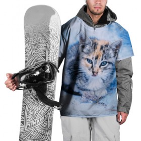 Накидка на куртку 3D с принтом Трехцветный котенок зимой в Белгороде, 100% полиэстер |  | грустный | добрый | животное | киса | киска кися | кот | котенок | котэ | кошка | красивый | лапа | лапка | ласковый | милый | моська | мурлыка | прикольный | смешной | унылый | усатый | шерсть