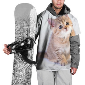 Накидка на куртку 3D с принтом Любопытный котенок в Белгороде, 100% полиэстер |  | грустный | добрый | животное | киса | киска кися | кот | котенок | котэ | кошка | красивый | лапа | лапка | ласковый | милый | моська | мурлыка | прикольный | смешной | унылый | усатый | шерсть