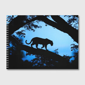 Альбом для рисования с принтом Чёрная пантера в Белгороде, 100% бумага
 | матовая бумага, плотность 200 мг. | африка | вечер | дерево | дикая кошка | закат | леопард | сафари | ягуар