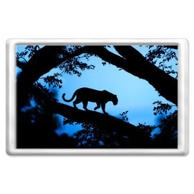 Магнит 45*70 с принтом Чёрная пантера в Белгороде, Пластик | Размер: 78*52 мм; Размер печати: 70*45 | Тематика изображения на принте: африка | вечер | дерево | дикая кошка | закат | леопард | сафари | ягуар