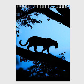 Скетчбук с принтом Чёрная пантера в Белгороде, 100% бумага
 | 48 листов, плотность листов — 100 г/м2, плотность картонной обложки — 250 г/м2. Листы скреплены сверху удобной пружинной спиралью | Тематика изображения на принте: африка | вечер | дерево | дикая кошка | закат | леопард | сафари | ягуар