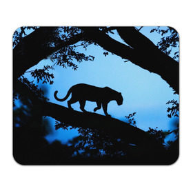 Коврик прямоугольный с принтом Чёрная пантера в Белгороде, натуральный каучук | размер 230 х 185 мм; запечатка лицевой стороны | африка | вечер | дерево | дикая кошка | закат | леопард | сафари | ягуар