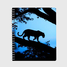 Тетрадь с принтом Чёрная пантера в Белгороде, 100% бумага | 48 листов, плотность листов — 60 г/м2, плотность картонной обложки — 250 г/м2. Листы скреплены сбоку удобной пружинной спиралью. Уголки страниц и обложки скругленные. Цвет линий — светло-серый
 | африка | вечер | дерево | дикая кошка | закат | леопард | сафари | ягуар