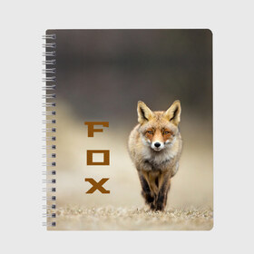 Тетрадь с принтом Рыжий лис (fox) в Белгороде, 100% бумага | 48 листов, плотность листов — 60 г/м2, плотность картонной обложки — 250 г/м2. Листы скреплены сбоку удобной пружинной спиралью. Уголки страниц и обложки скругленные. Цвет линий — светло-серый
 | fox | животное | зверь | красивая | лес | лис | лиса | лисенок | лисица | лисичка | мех | патрикеевна | песец | плутовка | прикольная | природа | рыжая | рыжий цвет | сказка | хвост | хитрая | хищник