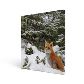 Холст квадратный с принтом Лиса в зимнем лесу в Белгороде, 100% ПВХ |  | Тематика изображения на принте: fox | животное | зверь | красивая | лес | лис | лиса | лисенок | лисица | лисичка | мех | патрикеевна | песец | плутовка | прикольная | природа | рыжая | рыжий цвет | сказка | хвост | хитрая | хищник