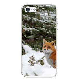 Чехол для iPhone 5/5S матовый с принтом Лиса в зимнем лесу в Белгороде, Силикон | Область печати: задняя сторона чехла, без боковых панелей | Тематика изображения на принте: fox | животное | зверь | красивая | лес | лис | лиса | лисенок | лисица | лисичка | мех | патрикеевна | песец | плутовка | прикольная | природа | рыжая | рыжий цвет | сказка | хвост | хитрая | хищник