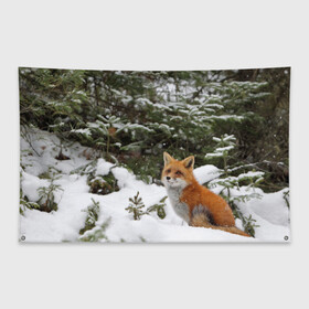 Флаг-баннер с принтом Лиса в зимнем лесу в Белгороде, 100% полиэстер | размер 67 х 109 см, плотность ткани — 95 г/м2; по краям флага есть четыре люверса для крепления | fox | животное | зверь | красивая | лес | лис | лиса | лисенок | лисица | лисичка | мех | патрикеевна | песец | плутовка | прикольная | природа | рыжая | рыжий цвет | сказка | хвост | хитрая | хищник
