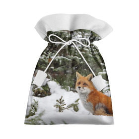 Подарочный 3D мешок с принтом Лиса в зимнем лесу в Белгороде, 100% полиэстер | Размер: 29*39 см | Тематика изображения на принте: fox | животное | зверь | красивая | лес | лис | лиса | лисенок | лисица | лисичка | мех | патрикеевна | песец | плутовка | прикольная | природа | рыжая | рыжий цвет | сказка | хвост | хитрая | хищник