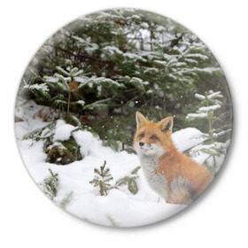 Значок с принтом Лиса в зимнем лесу в Белгороде,  металл | круглая форма, металлическая застежка в виде булавки | Тематика изображения на принте: fox | животное | зверь | красивая | лес | лис | лиса | лисенок | лисица | лисичка | мех | патрикеевна | песец | плутовка | прикольная | природа | рыжая | рыжий цвет | сказка | хвост | хитрая | хищник