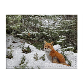 Обложка для студенческого билета с принтом Лиса в зимнем лесу в Белгороде, натуральная кожа | Размер: 11*8 см; Печать на всей внешней стороне | Тематика изображения на принте: fox | животное | зверь | красивая | лес | лис | лиса | лисенок | лисица | лисичка | мех | патрикеевна | песец | плутовка | прикольная | природа | рыжая | рыжий цвет | сказка | хвост | хитрая | хищник