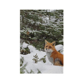 Обложка для паспорта матовая кожа с принтом Лиса в зимнем лесу в Белгороде, натуральная матовая кожа | размер 19,3 х 13,7 см; прозрачные пластиковые крепления | Тематика изображения на принте: fox | животное | зверь | красивая | лес | лис | лиса | лисенок | лисица | лисичка | мех | патрикеевна | песец | плутовка | прикольная | природа | рыжая | рыжий цвет | сказка | хвост | хитрая | хищник