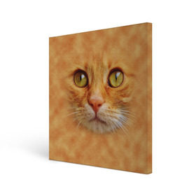 Холст квадратный с принтом Котик в Белгороде, 100% ПВХ |  | Тематика изображения на принте: животные | кот | котенок | котик | кошка