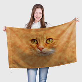 Флаг 3D с принтом Котик в Белгороде, 100% полиэстер | плотность ткани — 95 г/м2, размер — 67 х 109 см. Принт наносится с одной стороны | животные | кот | котенок | котик | кошка