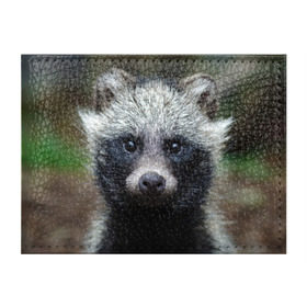 Обложка для студенческого билета с принтом Енотик в Белгороде, натуральная кожа | Размер: 11*8 см; Печать на всей внешней стороне | Тематика изображения на принте: raccoon | енот