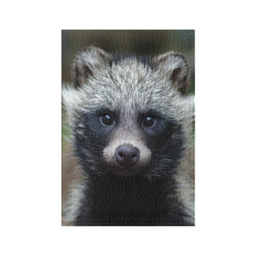 Обложка для паспорта матовая кожа с принтом Енотик в Белгороде, натуральная матовая кожа | размер 19,3 х 13,7 см; прозрачные пластиковые крепления | Тематика изображения на принте: raccoon | енот