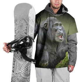 Накидка на куртку 3D с принтом Шимпанзе в Белгороде, 100% полиэстер |  | животные | обезьяна 