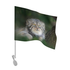 Флаг для автомобиля с принтом Манул в Белгороде, 100% полиэстер | Размер: 30*21 см | всеядный | детеныш | дикие | животные | звери | зверята | кот | манул | медведь | хищник