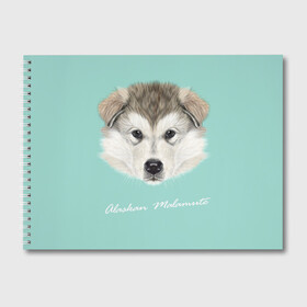 Альбом для рисования с принтом Alaskan Malamute в Белгороде, 100% бумага
 | матовая бумага, плотность 200 мг. | alaskan malamute | dog | puppy | маламут | собака | хаски | щенок