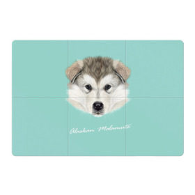 Магнитный плакат 3Х2 с принтом Alaskan Malamute в Белгороде, Полимерный материал с магнитным слоем | 6 деталей размером 9*9 см | alaskan malamute | dog | puppy | маламут | собака | хаски | щенок