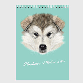 Скетчбук с принтом Alaskan Malamute в Белгороде, 100% бумага
 | 48 листов, плотность листов — 100 г/м2, плотность картонной обложки — 250 г/м2. Листы скреплены сверху удобной пружинной спиралью | Тематика изображения на принте: alaskan malamute | dog | puppy | маламут | собака | хаски | щенок