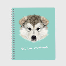 Тетрадь с принтом Alaskan Malamute в Белгороде, 100% бумага | 48 листов, плотность листов — 60 г/м2, плотность картонной обложки — 250 г/м2. Листы скреплены сбоку удобной пружинной спиралью. Уголки страниц и обложки скругленные. Цвет линий — светло-серый
 | Тематика изображения на принте: alaskan malamute | dog | puppy | маламут | собака | хаски | щенок