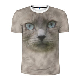 Мужская футболка 3D спортивная с принтом Кошка в Белгороде, 100% полиэстер с улучшенными характеристиками | приталенный силуэт, круглая горловина, широкие плечи, сужается к линии бедра | глаза | животные | кот | котенок | кошка | мордочка | нос | усы