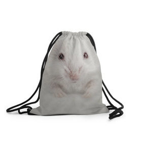 Рюкзак-мешок 3D с принтом Крыса в Белгороде, 100% полиэстер | плотность ткани — 200 г/м2, размер — 35 х 45 см; лямки — толстые шнурки, застежка на шнуровке, без карманов и подкладки | животные | крыса | мордочка | мышка | мышь | природа