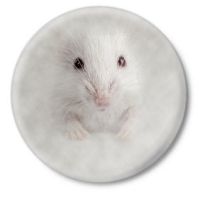 Значок с принтом Крыса в Белгороде,  металл | круглая форма, металлическая застежка в виде булавки | Тематика изображения на принте: животные | крыса | мордочка | мышка | мышь | природа