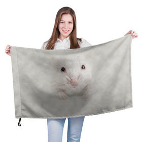 Флаг 3D с принтом Крыса в Белгороде, 100% полиэстер | плотность ткани — 95 г/м2, размер — 67 х 109 см. Принт наносится с одной стороны | животные | крыса | мордочка | мышка | мышь | природа