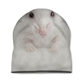 Шапка 3D с принтом Крыса в Белгороде, 100% полиэстер | универсальный размер, печать по всей поверхности изделия | животные | крыса | мордочка | мышка | мышь | природа