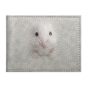 Обложка для студенческого билета с принтом Крыса в Белгороде, натуральная кожа | Размер: 11*8 см; Печать на всей внешней стороне | животные | крыса | мордочка | мышка | мышь | природа