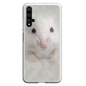 Чехол для Honor 20 с принтом Крыса в Белгороде, Силикон | Область печати: задняя сторона чехла, без боковых панелей | животные | крыса | мордочка | мышка | мышь | природа