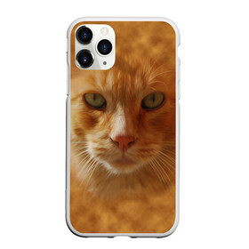 Чехол для iPhone 11 Pro матовый с принтом Рыжий котик в Белгороде, Силикон |  | животные | кот | котенок | котик | кошка | мордочка | рыжий