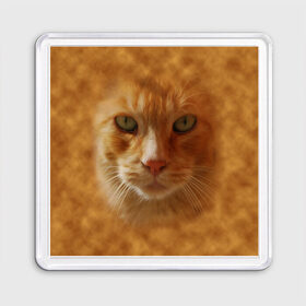 Магнит 55*55 с принтом Рыжий котик в Белгороде, Пластик | Размер: 65*65 мм; Размер печати: 55*55 мм | Тематика изображения на принте: животные | кот | котенок | котик | кошка | мордочка | рыжий
