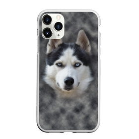 Чехол для iPhone 11 Pro матовый с принтом Хаска в Белгороде, Силикон |  | мордочка | пес | собака | хаска | щенок