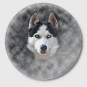 Значок с принтом Хаска в Белгороде,  металл | круглая форма, металлическая застежка в виде булавки | Тематика изображения на принте: мордочка | пес | собака | хаска | щенок