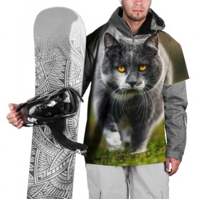 Накидка на куртку 3D с принтом Котэ в Белгороде, 100% полиэстер |  | Тематика изображения на принте: глаза | киска | кот | котёнок | кошка | усы