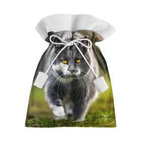Подарочный 3D мешок с принтом Котэ в Белгороде, 100% полиэстер | Размер: 29*39 см | Тематика изображения на принте: глаза | киска | кот | котёнок | кошка | усы