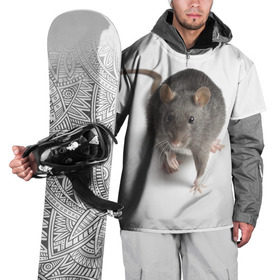 Накидка на куртку 3D с принтом Крыса в Белгороде, 100% полиэстер |  | животные | крыса | мышка | мышь