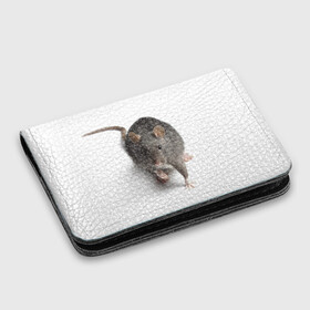 Картхолдер с принтом с принтом Крыса  в Белгороде, натуральная матовая кожа | размер 7,3 х 10 см; кардхолдер имеет 4 кармана для карт; | животные | крыса | мышка | мышь