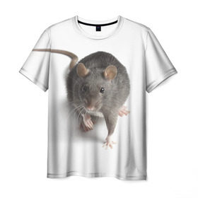 Мужская футболка 3D с принтом Крыса в Белгороде, 100% полиэфир | прямой крой, круглый вырез горловины, длина до линии бедер | животные | крыса | мышка | мышь