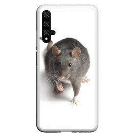 Чехол для Honor 20 с принтом Крыса в Белгороде, Силикон | Область печати: задняя сторона чехла, без боковых панелей | животные | крыса | мышка | мышь